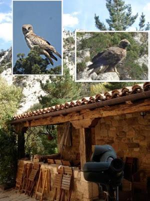 Posada Molino Del Canto Barriolacuesta Kültér fotó