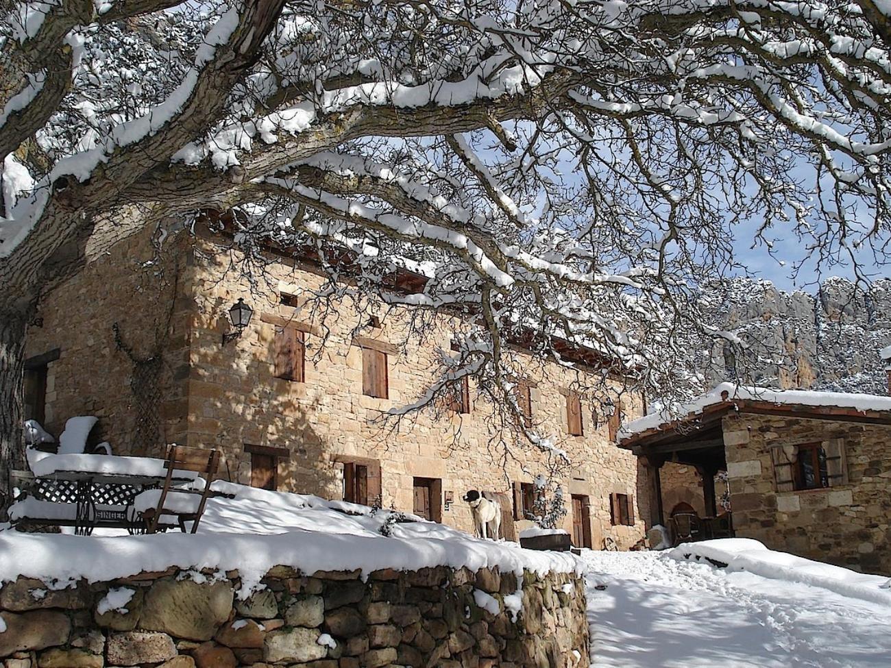 Posada Molino Del Canto Barriolacuesta Kültér fotó
